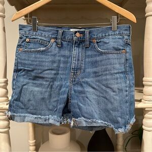 Madewell Denim Shorts (27)